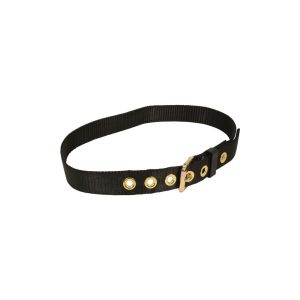 Falltech Heavy Duty Tool Replacement Work Belt with Buckle Medium