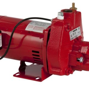 Red Lion 1HP Convertible Jet Pump