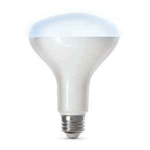 Feit Electric 65W BR30 Daylight Smart WiFi LED Bulb 1pk